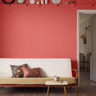 Rose Cockle Morris & Co Paint