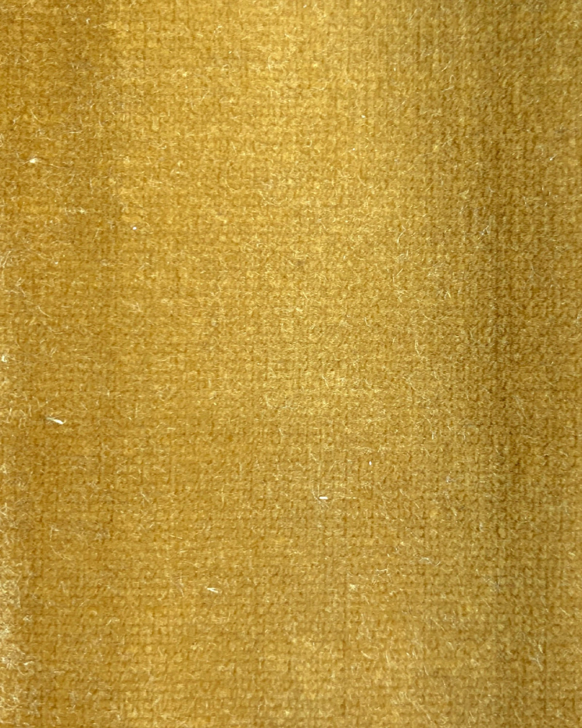 Venezia Ocre Venezia Fabric by Coordonné