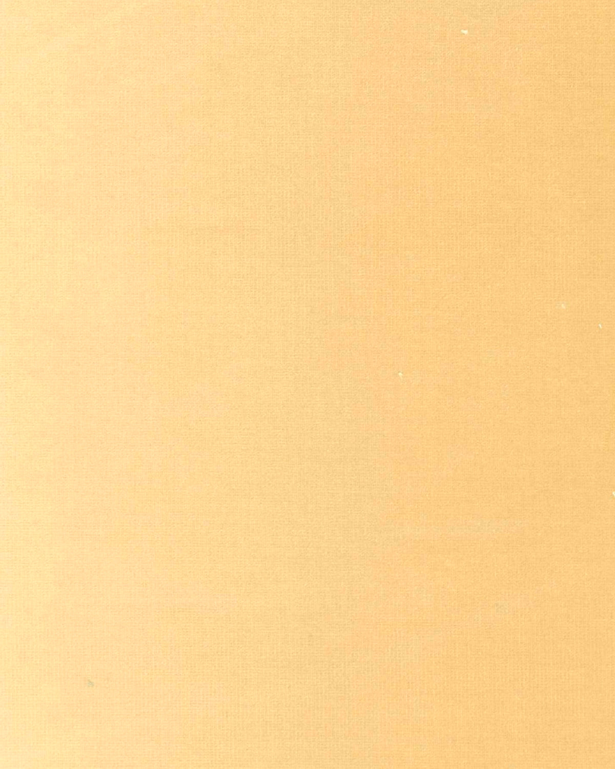 Venezia Beige Venezia Fabric by Coordonné