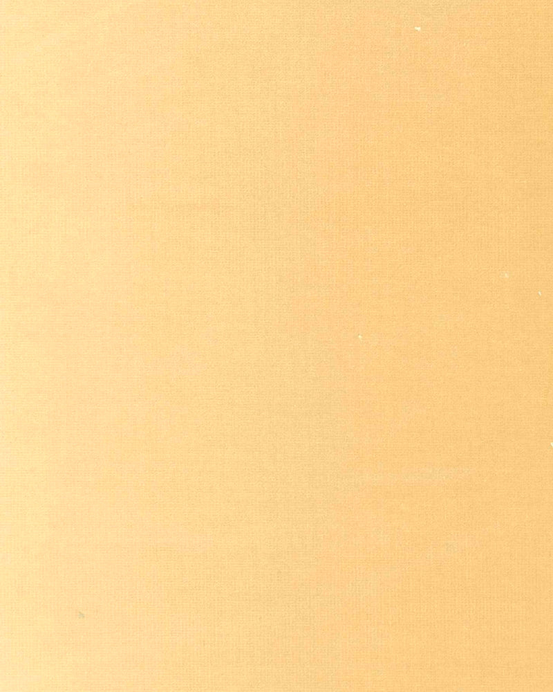 Venezia Beige Venezia Fabric by Coordonné