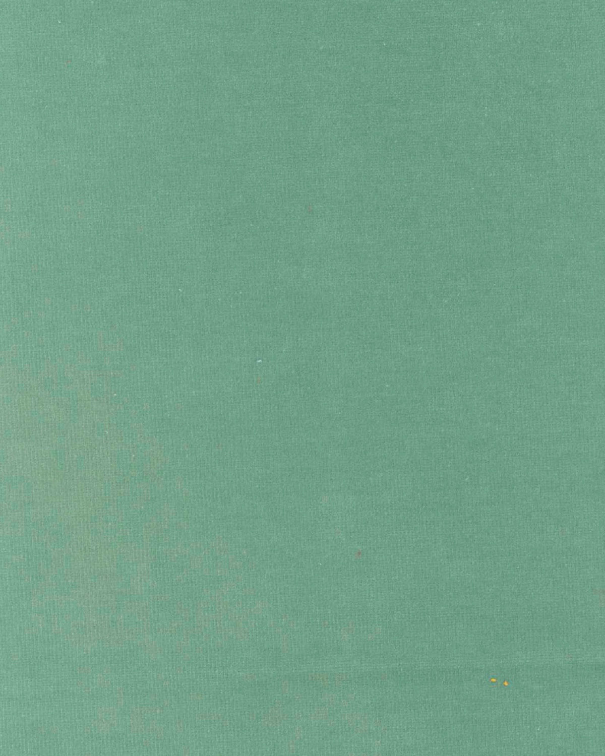 Venezia Verde Flojo Venezia Fabric by Coordonné