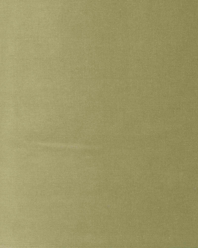 Venezia Pistacho Venezia Fabric by Coordonné