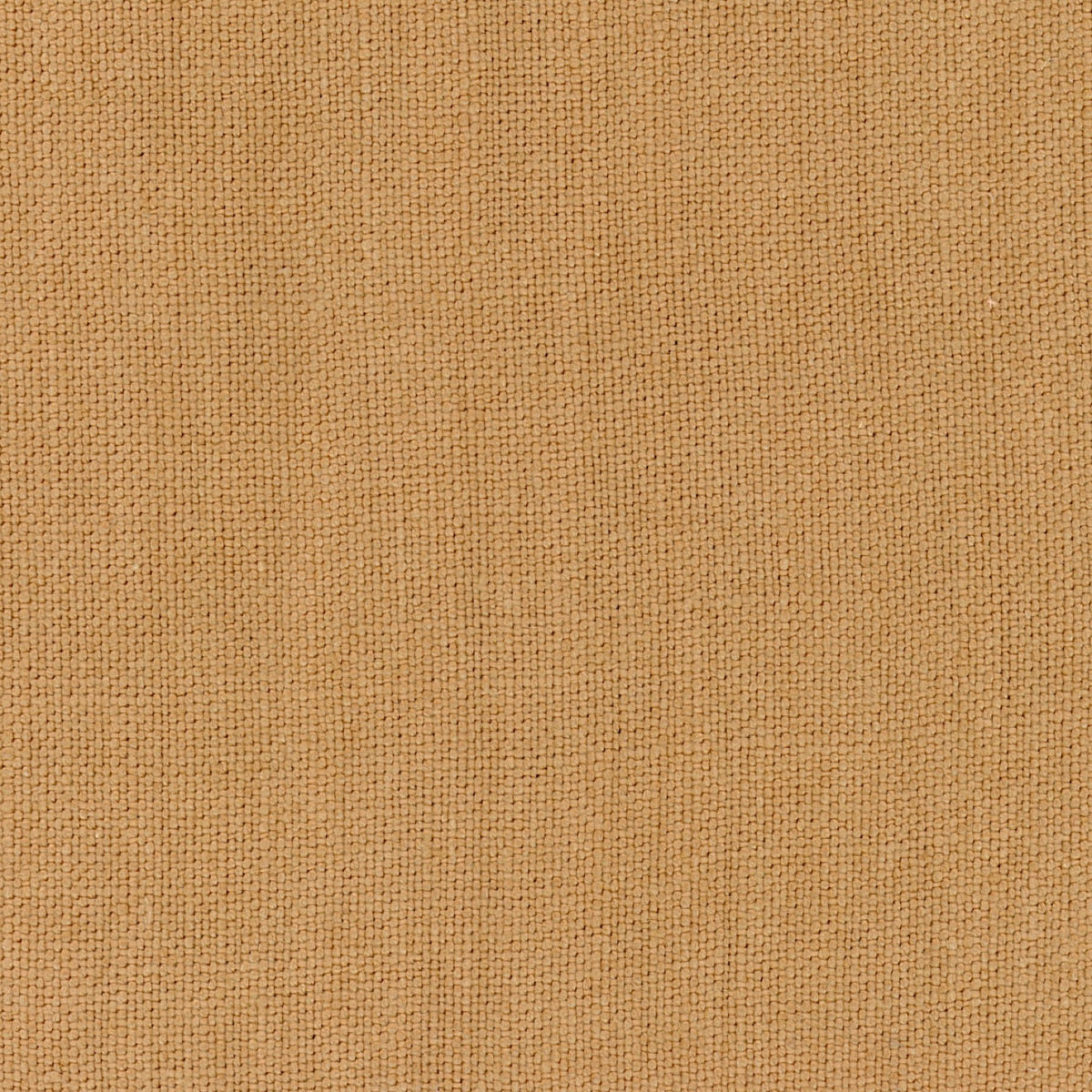El Mercader Cream El Mercader II Fabric by Coordonné