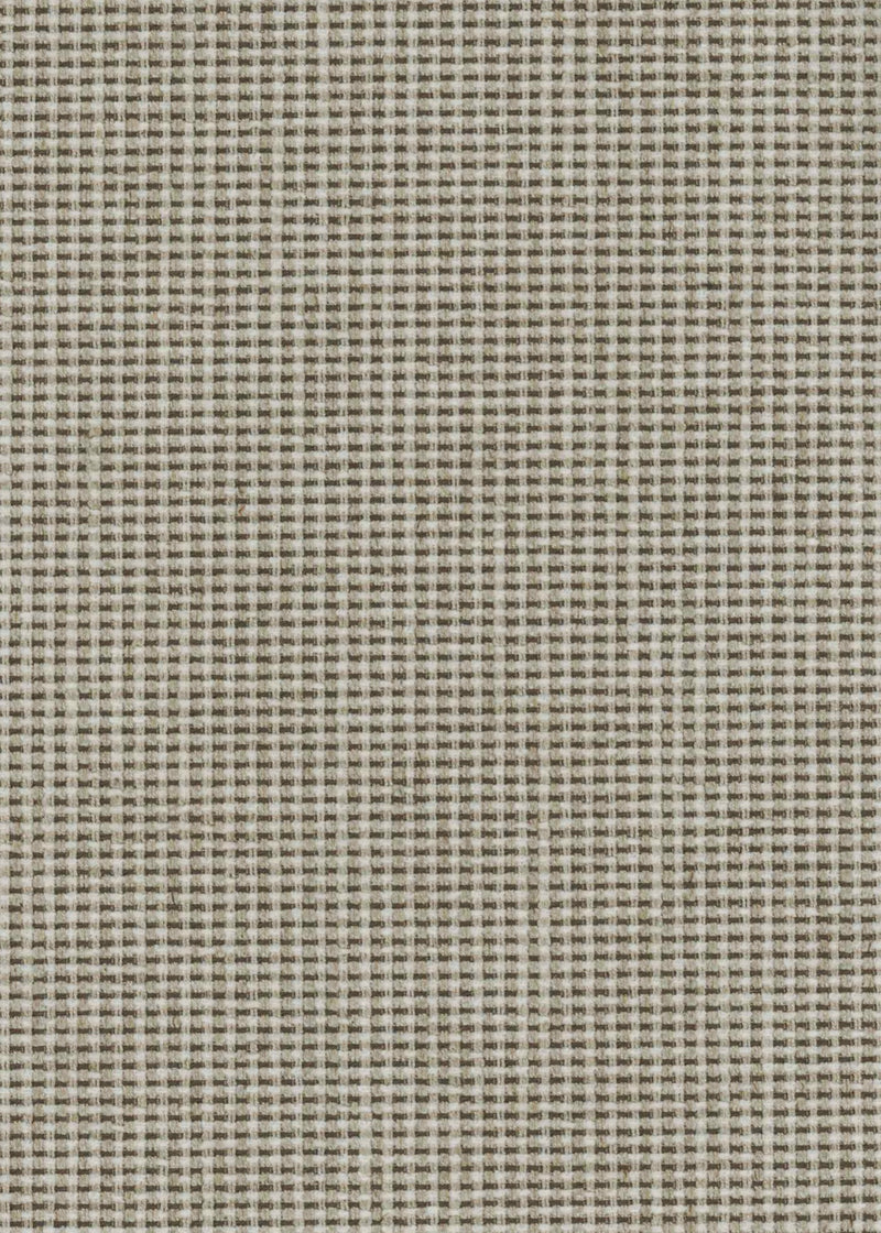Bertoia Canvas Mid-century Fabric by Coordonné