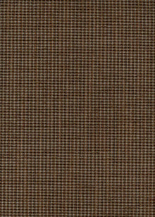 Bertoia Cigar Mid-century Fabric by Coordonné