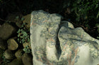 Field Maple Sage Cotswolds Fabric by Coordonné