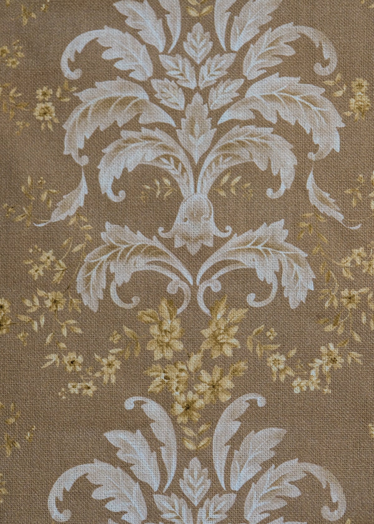 French Damask Papyrus Damaskus Fabric by Coordonné