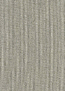 Girard Canvas Mid-century Fabric by Coordonné