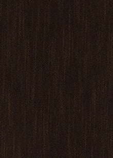 Girard Cigar Mid-century Fabric by Coordonné