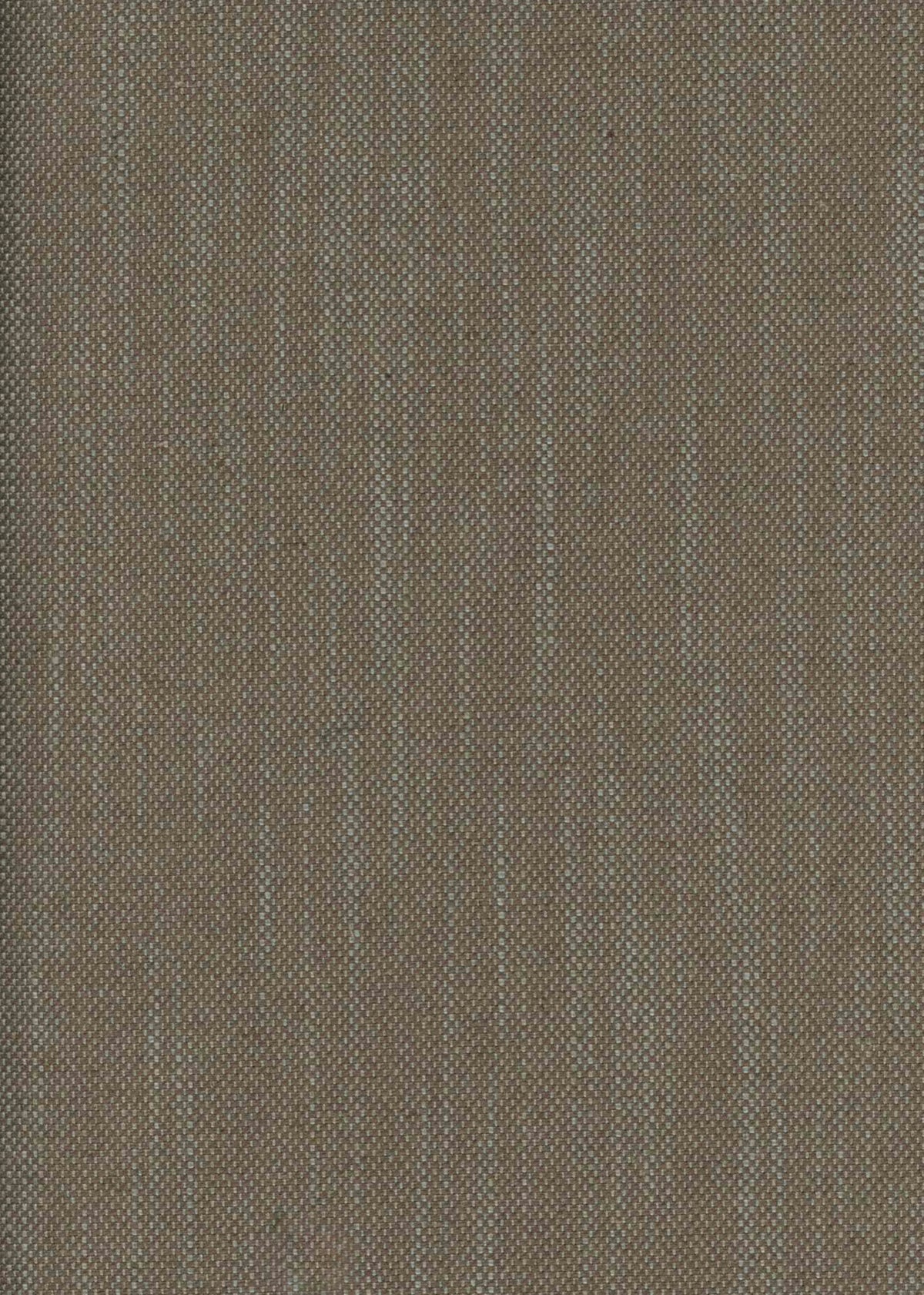 Girard Mole Mid-century Fabric by Coordonné