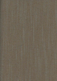 Girard Mole Mid-century Fabric by Coordonné