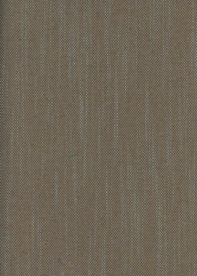 Girard Mole Mid-century Fabric by Coordonné