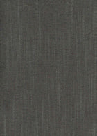 Girard Steel Mid-century Fabric by Coordonné