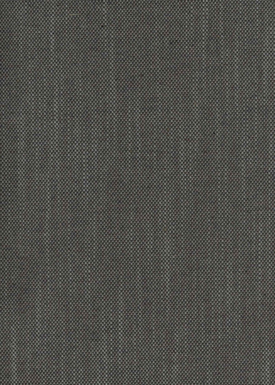 Girard Steel Mid-century Fabric by Coordonné