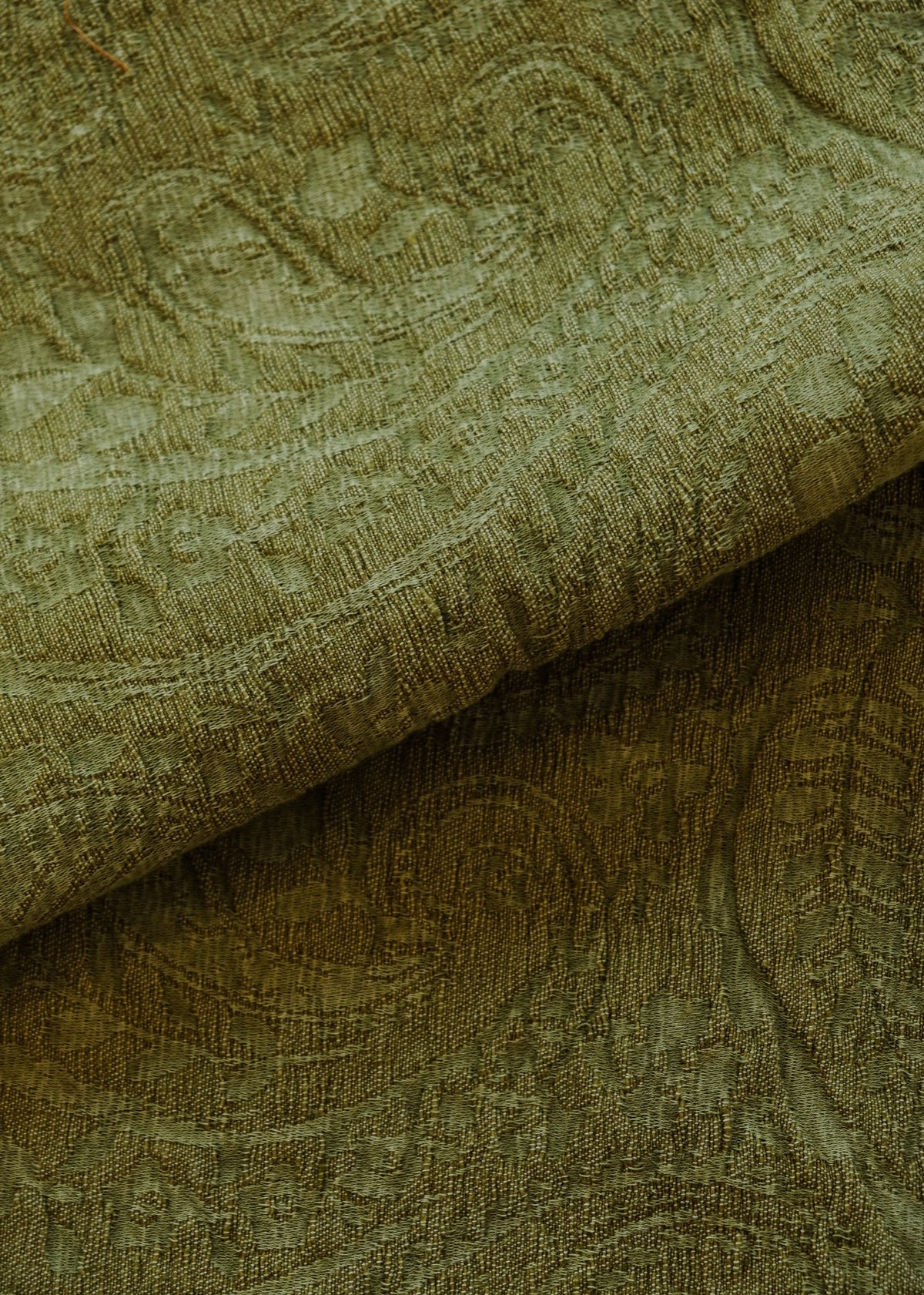 Kashmir Moss Kala Fabric by Coordonné