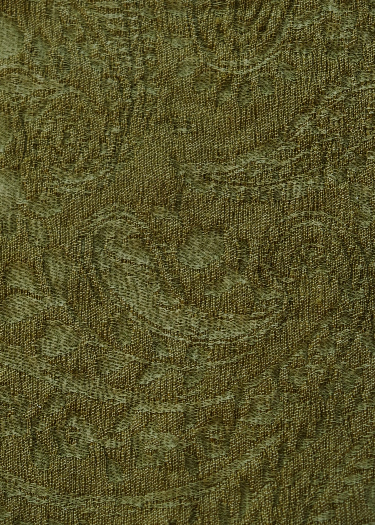Kashmir Moss Kala Fabric by Coordonné