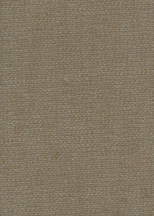 Magistretti Canvas Mid-century Fabric by Coordonné