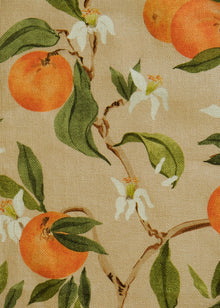 Naranjos Rosado Sevilla Fabric by Coordonné
