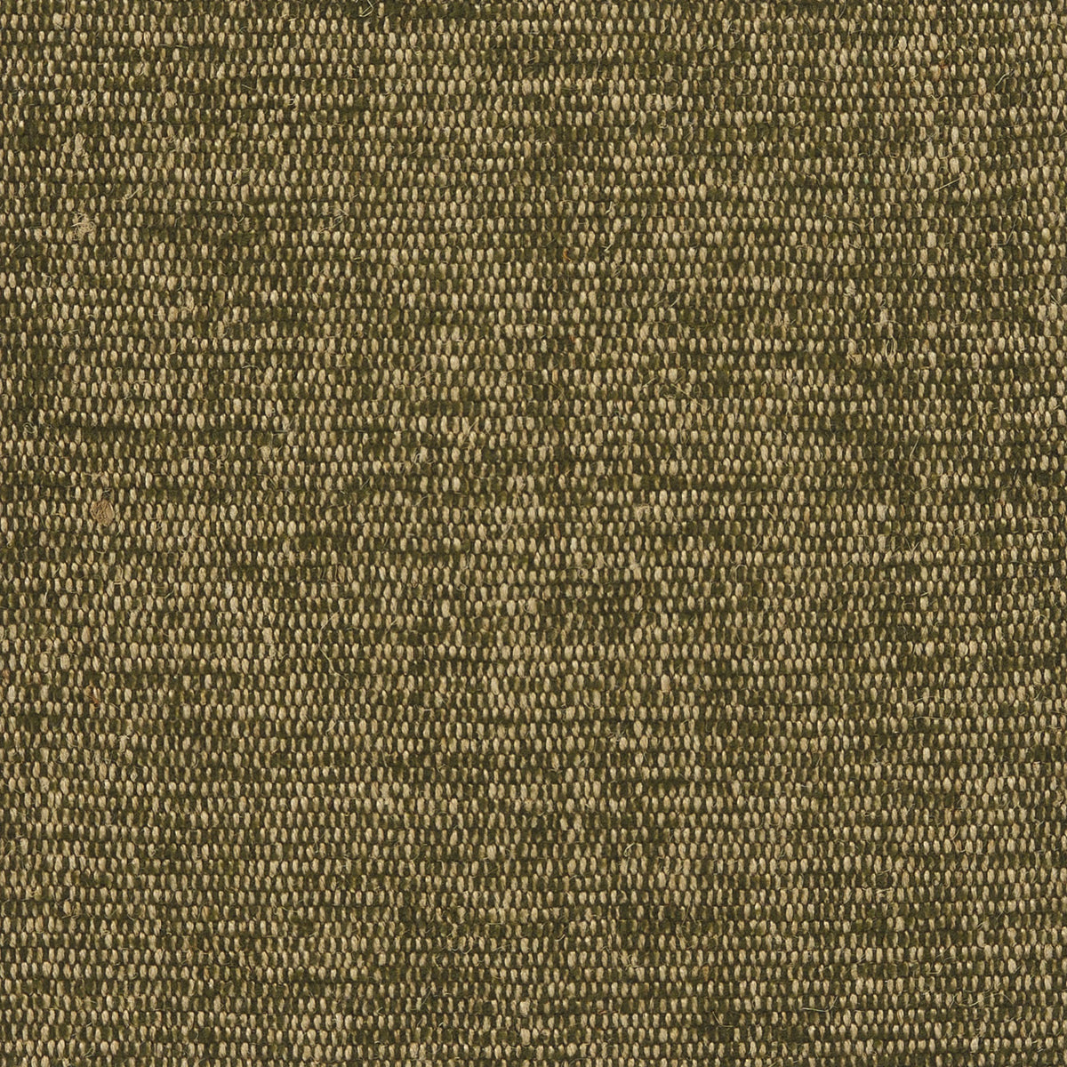 Plain Dune Leaf Berber I Fabric by Coordonné