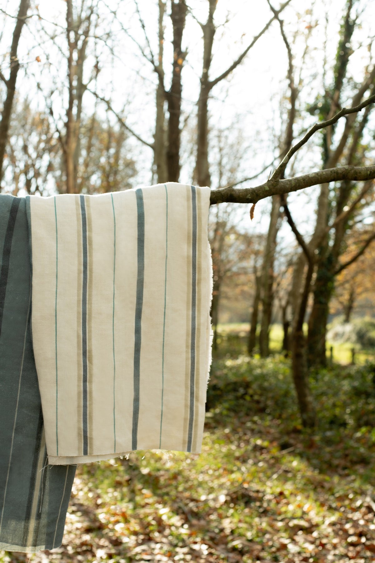 Rolling Stripes Aqua Cotswolds Fabric by Coordonné