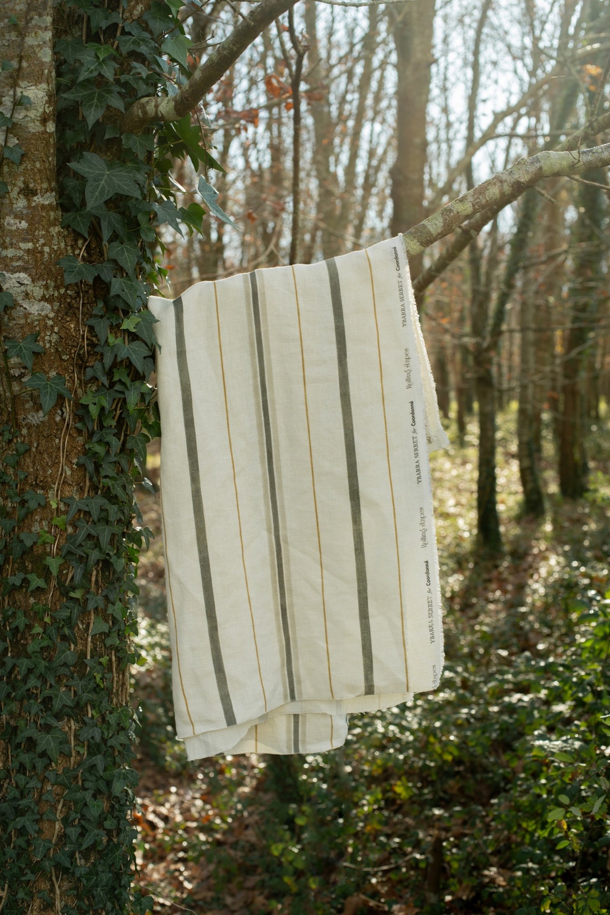 Rolling Stripes Black Cotswolds Fabric by Coordonné