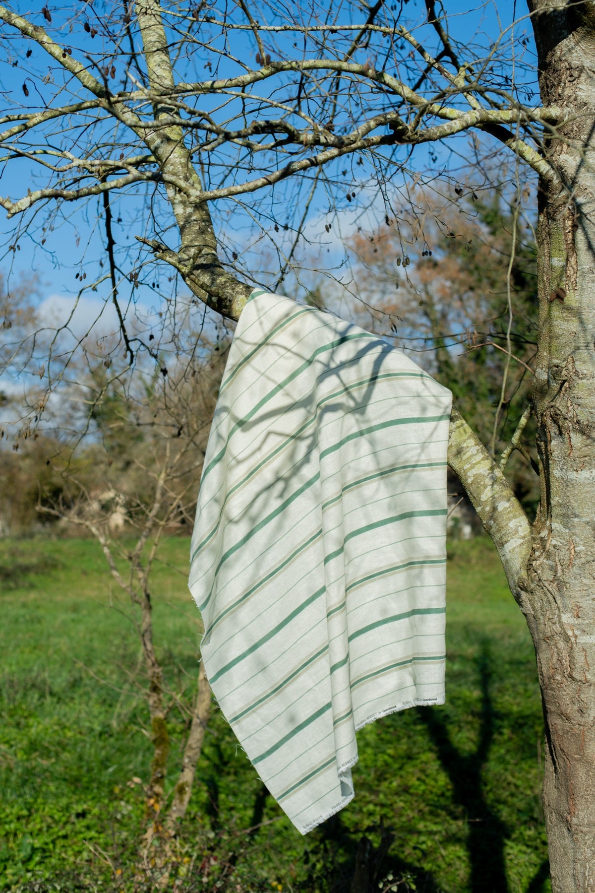 Rolling Stripes Mint Cotswolds Fabric by Coordonné