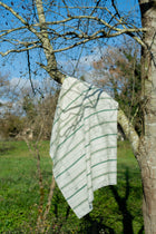 Rolling Stripes Mint Cotswolds Fabric by Coordonné