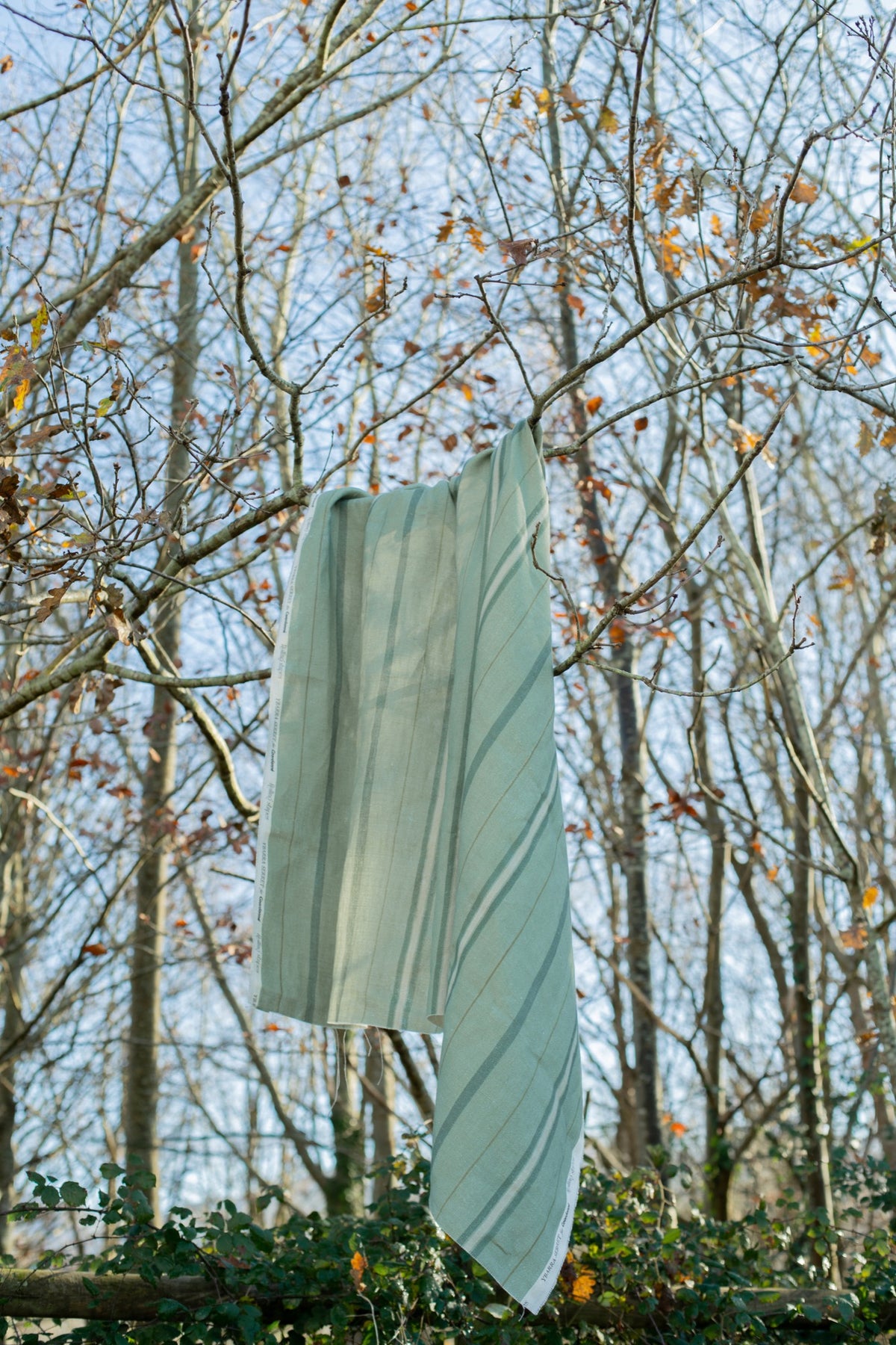 Rolling Stripes Sage Cotswolds Fabric by Coordonné