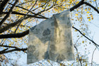 Royal Oak Aqua Cotswolds Fabric by Coordonné