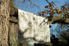Royal Oak Black Cotswolds Fabric by Coordonné