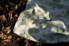 Royal Oak Mint Cotswolds Fabric by Coordonné