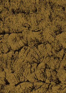 Sepia Gold Artisan Fabric by Coordonné
