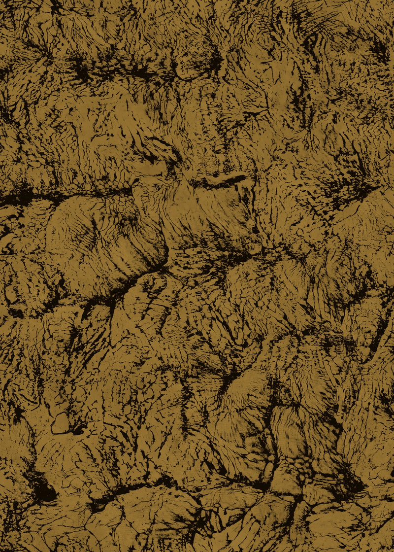 Sepia Gold Artisan Fabric by Coordonné