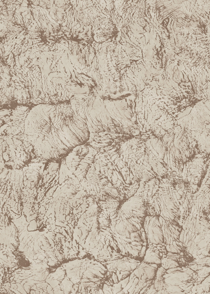 Sepia Rose Artisan Fabric by Coordonné