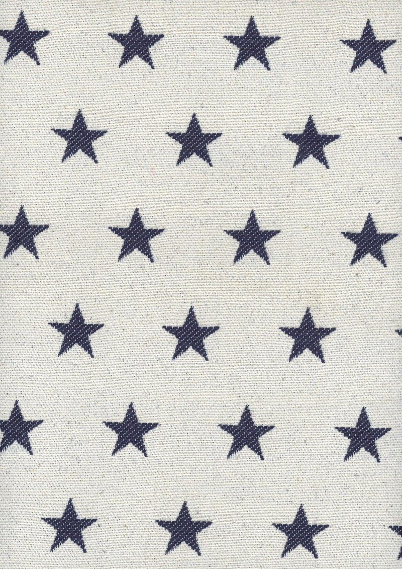 Stars Ocean Piccadilly Fabric by Coordonné