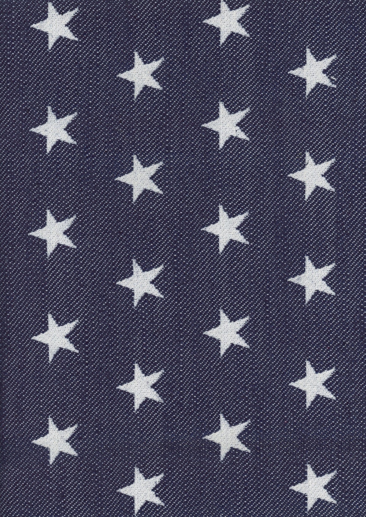 Stars Ocean Piccadilly Fabric by Coordonné