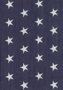 Stars Ocean Piccadilly Fabric by Coordonné