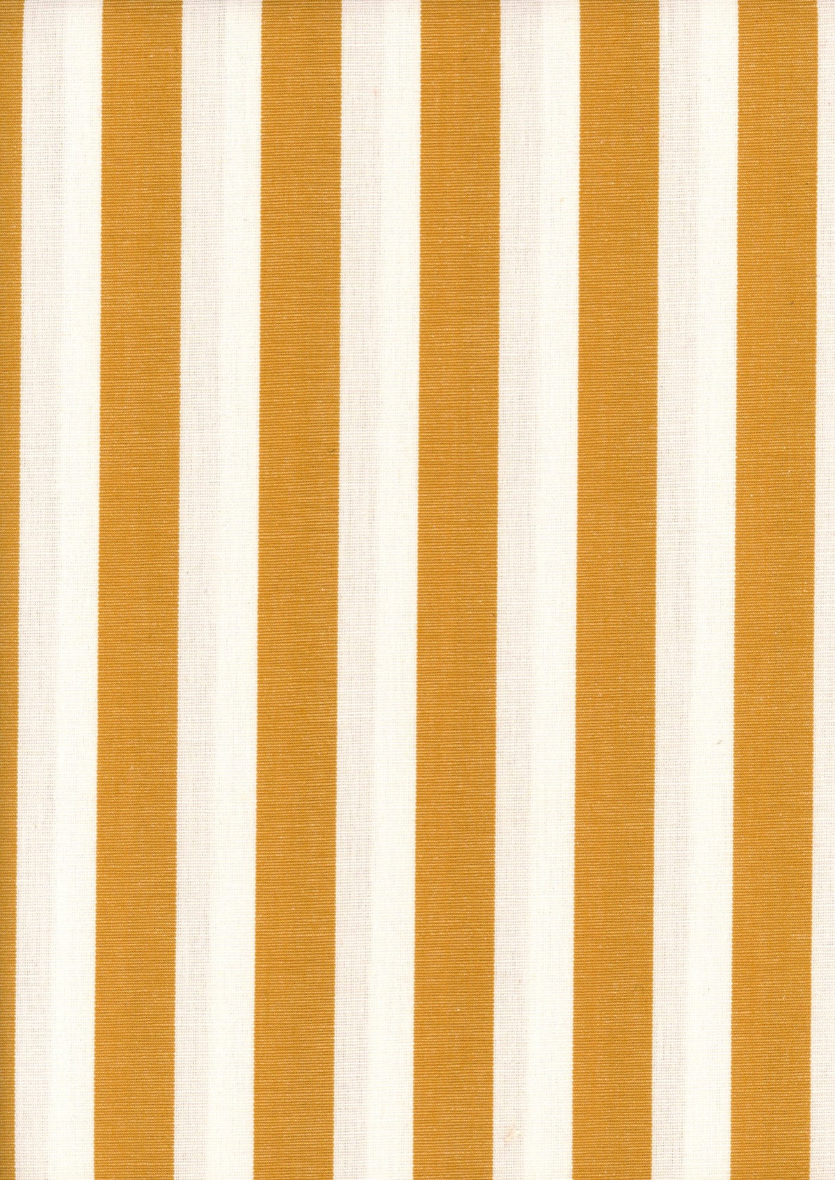 Stripes Curry Piccadilly Fabric by Coordonné