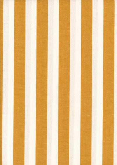 Stripes Curry Piccadilly Fabric by Coordonné