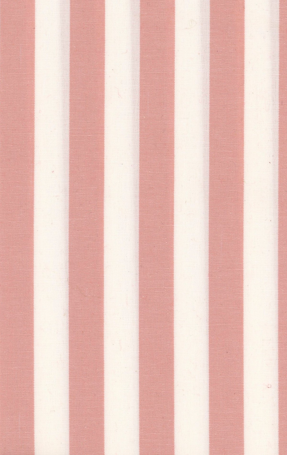 Stripes Pink Piccadilly Fabric by Coordonné