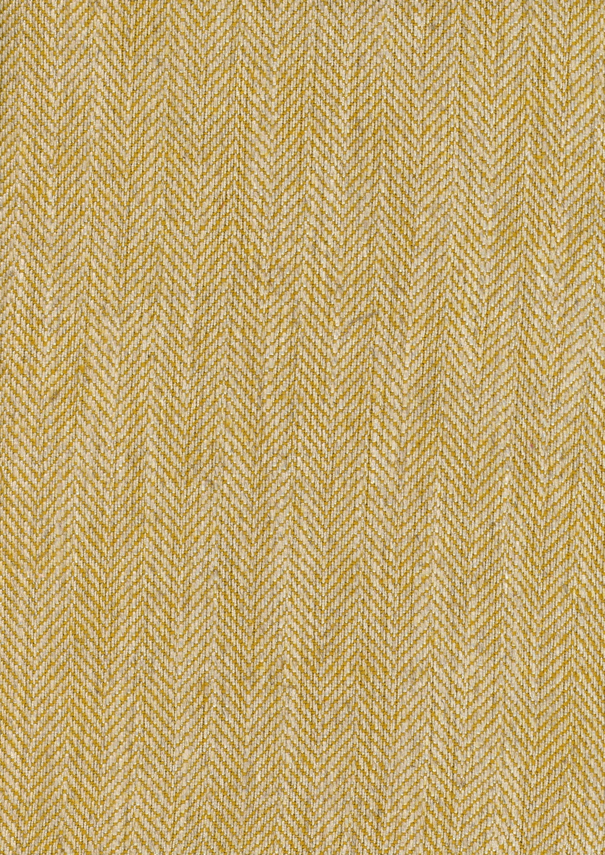 Twill Curry Piccadilly Fabric by Coordonné