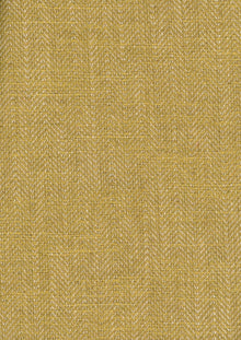 Twill Pistaacho Piccadilly Fabric by Coordonné