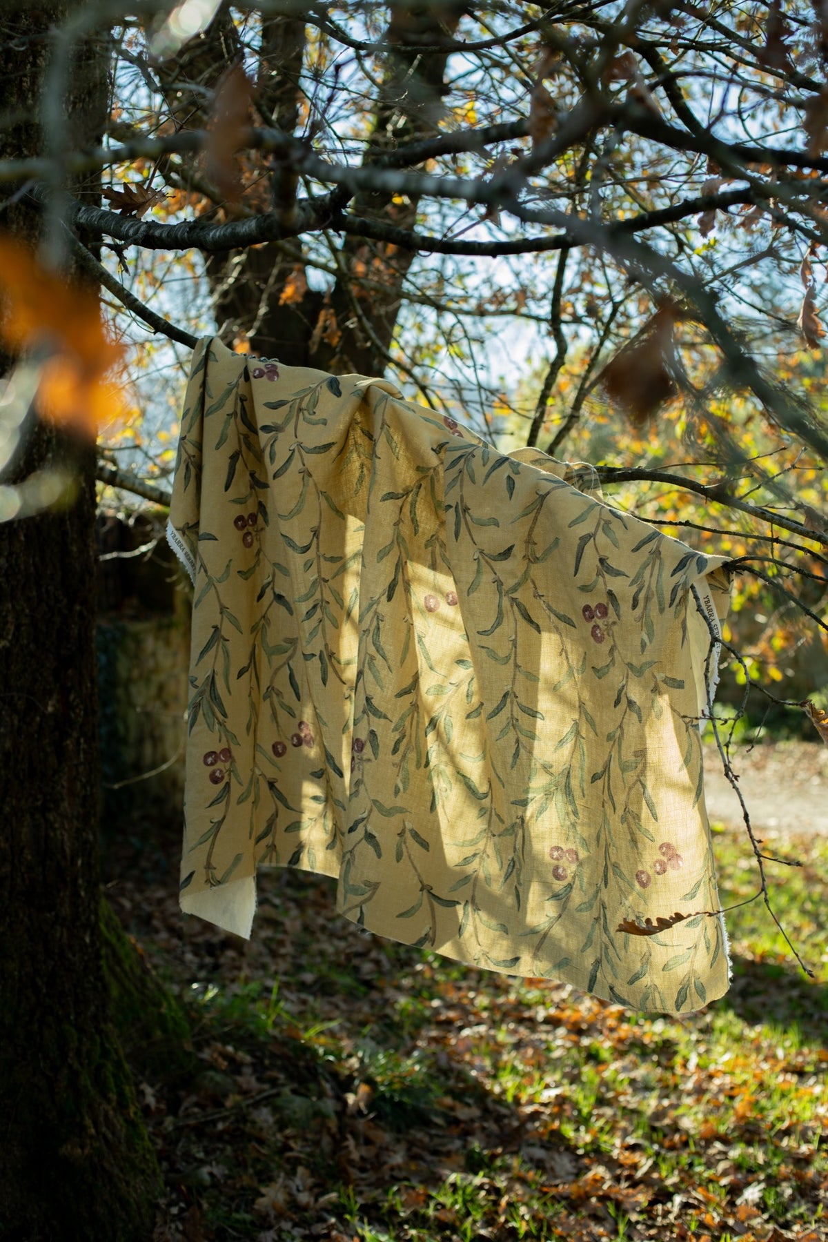 Wild Blackthorn Sunny Cotswolds Fabric by Coordonné