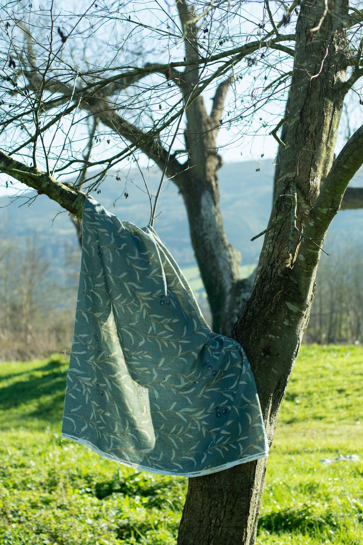 Wild Blackthorn Sapphire Cotswolds Fabric by Coordonné