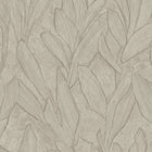 42525 Piante Sculptura Dauphin Wallpaper By Arte