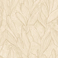 Piante Sculptura Abalone Wallpaper By Arte