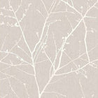 33-273 Innocence Mushroom Superfresco Easy Wallpaper