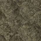W0209/01 Silvan Charcoal Gilver Expressions Wallpaper by Clarke & Clarke