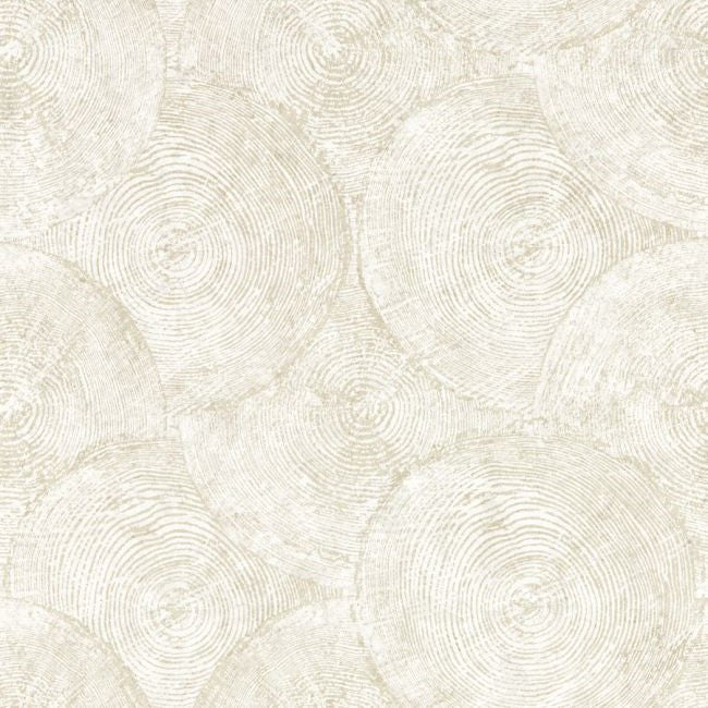 W0209/02 Silvan Gilver Expressions Wallpaper by Clarke & Clarke