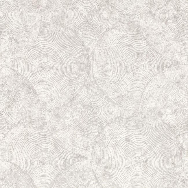 W0209/04 Silvan Putty Expressions Wallpaper by Clarke & Clarke